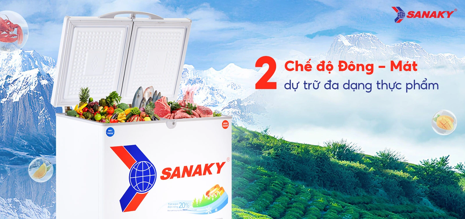 Tủ đông mát 165 lít Sanaky VH-2299W1 với 2 chế độ Đông - Mát dự trữ đa dạng thực phẩm