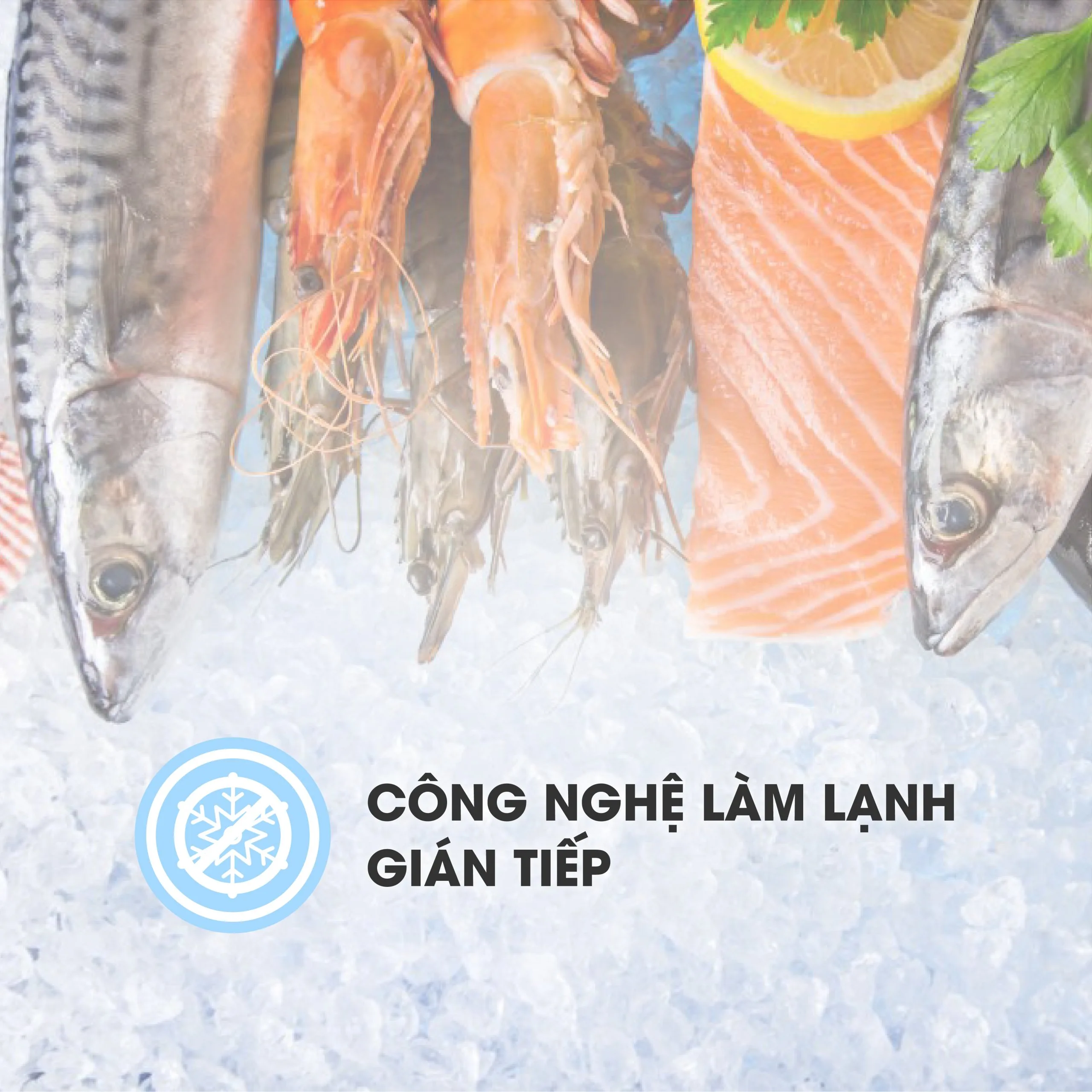 Công nghệ làm lạnh gián tiếp trên tủ mát 1320 lít Sanaky VH-1368K