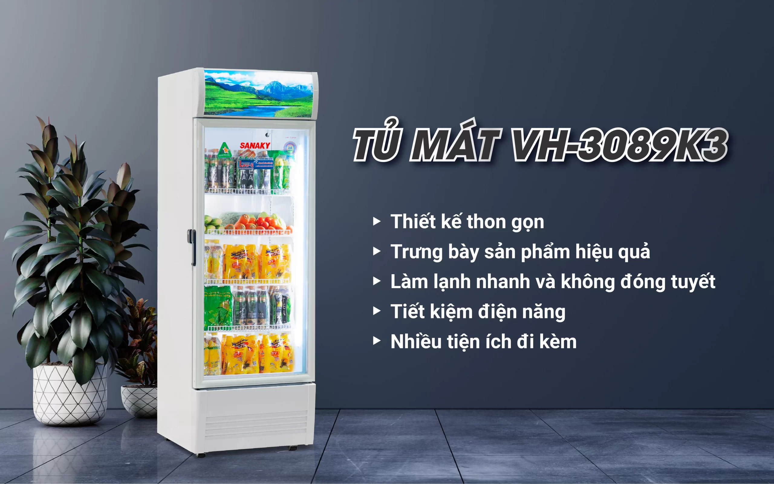 Tủ Mát Sanaky VH-3089K3 Tủ mát 300 lít Sanaky Inverter VH-3089K3 trưng bày đồ uống